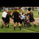 image 5 of 65